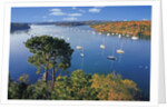 Sailboats Anchored on River by Anonymous