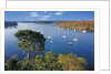Sailboats Anchored on River by Anonymous
