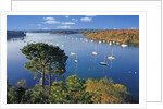 Sailboats Anchored on River by Anonymous