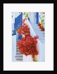 Flowers Blooming on Stairway by Anonymous