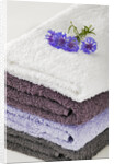 Towels by Anonymous