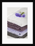 Towels by Anonymous
