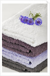 Towels by Anonymous