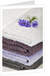 Towels by Anonymous