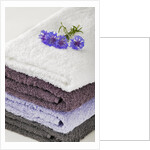 Towels by Anonymous