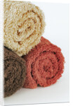 Towels by Anonymous
