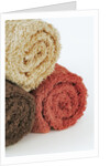 Towels by Anonymous