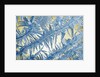 Frost on Glass by Anonymous