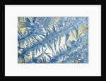 Frost on Glass by Anonymous