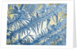 Frost on Glass by Anonymous