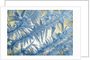 Frost on Glass by Anonymous