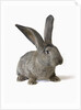 Gray Rabbit by Anonymous