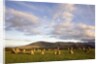 Castlerigg Stone Circle by Anonymous