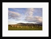 Castlerigg Stone Circle by Anonymous