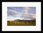 Castlerigg Stone Circle by Anonymous