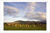 Castlerigg Stone Circle by Anonymous