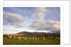 Castlerigg Stone Circle by Anonymous