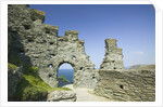 Ruins of Tintagel Castle by Anonymous