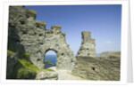Ruins of Tintagel Castle by Anonymous
