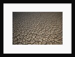 Eroding Ground of Desert by Anonymous