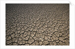 Eroding Ground of Desert by Anonymous