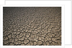 Eroding Ground of Desert by Anonymous