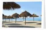 Sunny Beach and Palapas by Anonymous