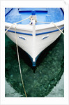Fishing Boat at Mooring by Anonymous