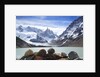 Lake Torre in Los Glaciares National Park by Anonymous