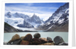 Lake Torre in Los Glaciares National Park by Anonymous