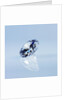 Round Cut Diamond by Anonymous