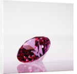 Pink Jewel by Anonymous