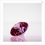 Pink Jewel by Anonymous