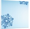 Snowflakes by Anonymous