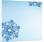 Snowflakes by Anonymous