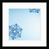 Snowflakes by Anonymous