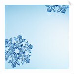 Snowflakes by Anonymous