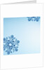 Snowflakes by Anonymous