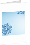 Snowflakes by Anonymous
