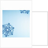 Snowflakes by Anonymous