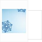 Snowflakes by Anonymous