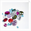 Variety of Jewels by Anonymous