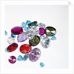 Variety of Jewels by Anonymous