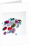 Variety of Jewels by Anonymous