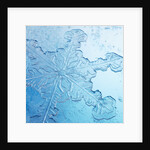 Close-Up of Snowflake by Anonymous