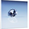 Round Cut Diamond by Anonymous