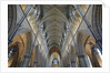 Nave of Southwark Cathedral in London by Anonymous