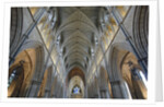 Nave of Southwark Cathedral in London by Anonymous