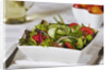 Green Salad in Bowl by Anonymous