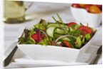 Green Salad in Bowl by Anonymous